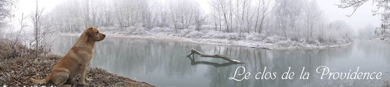 Le clos de la providence